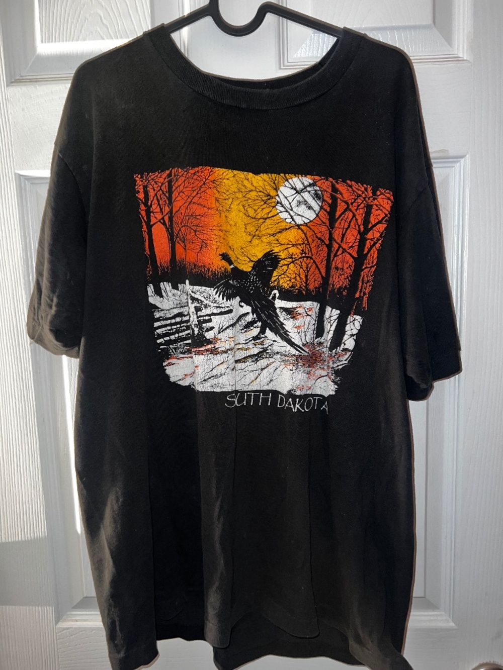 South Dakota Graphic vtg tee